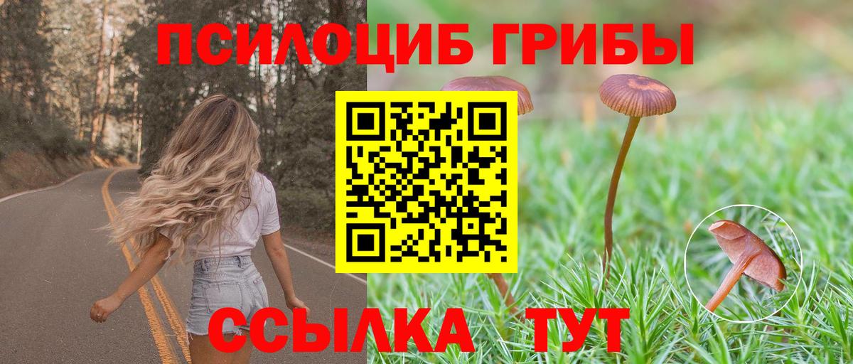 Псилоцибиновые грибы ЛСД Солнечногорск